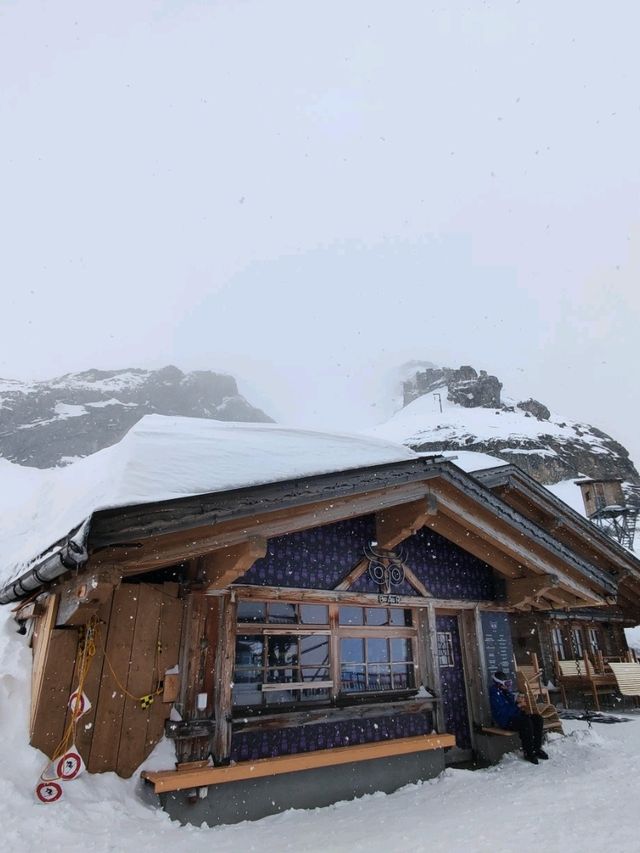白雪飄飄的鐵力士山