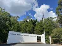 Mount Coottha Botanic garden 