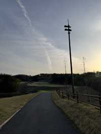 라베해요