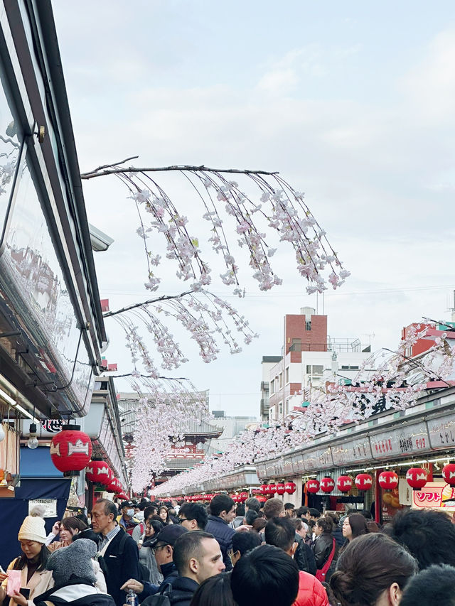 A Day in Asakusa, Tokyo