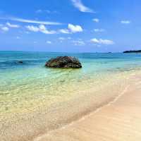 【石垣島】夏の石垣島最高すぎる✨
