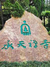 承天禪寺步道走向桐花公園賞油桐花