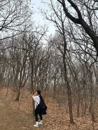 🥾청계산 등산 후기 🥾