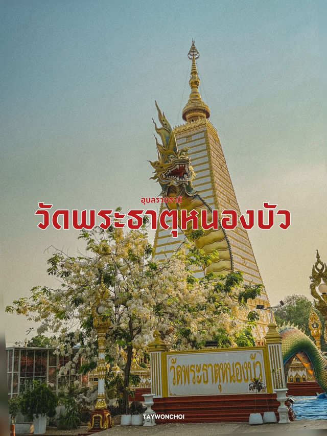 วัดพระธาตุหนองบัว | อุบลราชธานี