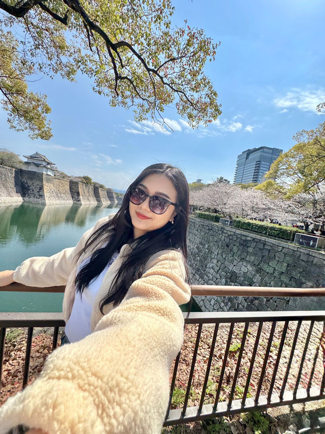 ชมซากุระบานที่ปราสาทโอซาก้า 🏯🌸