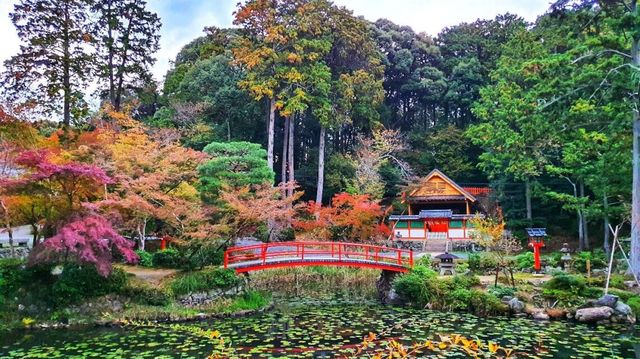 🌸 "Oharano Shrine: Kyoto’s Best-Kept Secret for Cherry Blossom Perfection" 🌸