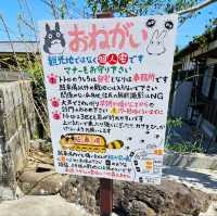 こんな可愛いスポットあるって知ってた？！