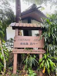 The Tatami Spa Hidden in the Forest