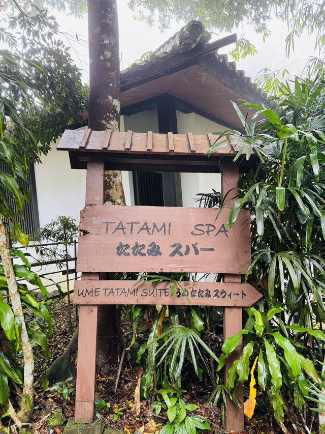 The Tatami Spa Hidden in the Forest