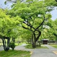～與力町公園～靜謐綠意～