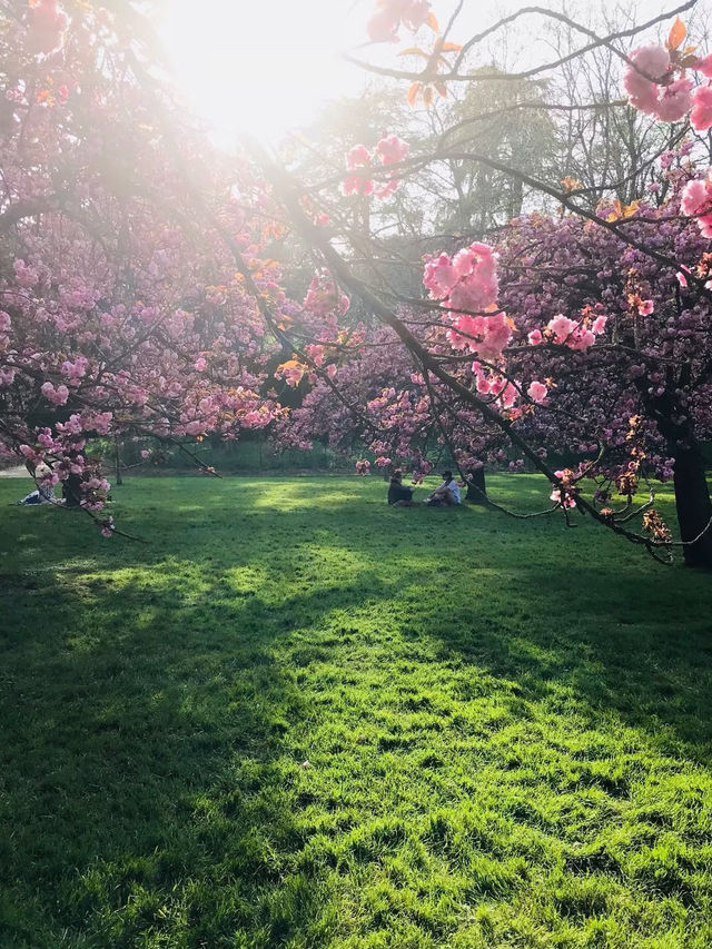🇫🇷 Parc de Sceaux | A Spring Invitation from Paris