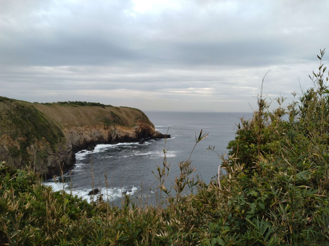 【三浦半島】城ヶ島