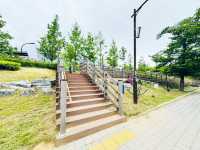 Where Nature Nurtures