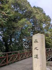 # 阿里山國家森林遊樂區-嘉義縣阿里山鄉