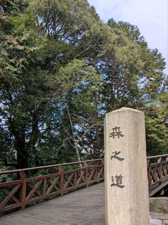 # 阿里山國家森林遊樂區-嘉義縣阿里山鄉