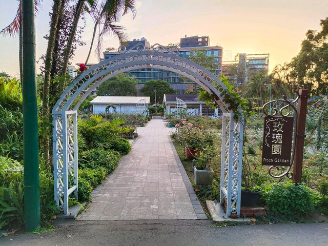2025士林官邸花花特輯🌹🌷花都開好了🌸💐