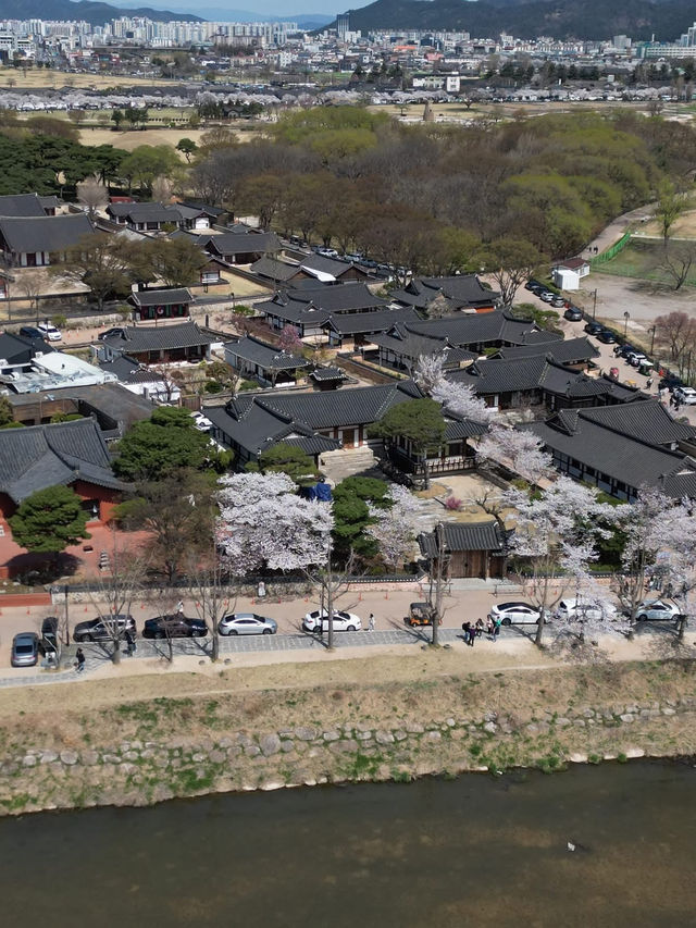 “Blossoms of a Lost Kingdom: Springtime in Gyeongju”