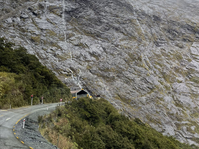 紐西蘭南島｜Milford Sound｜雨神眷顧的世界遺產，細雨中的壯麗峽灣