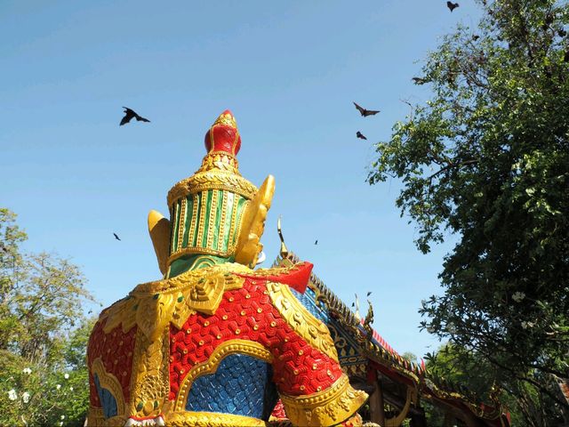 วัดโพธิ์ บางคล้า