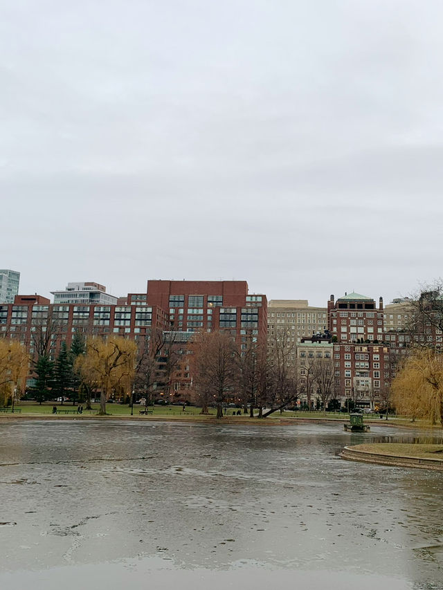 พักผ่อน ชมธรรมชาติ Boston common
