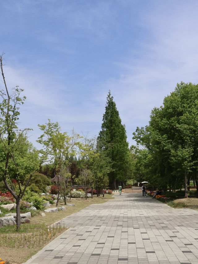 경주에서 제일 좋았던 무료 산책 정원 외나무 포토존 놓치지마세요🌳