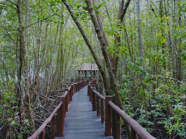 อ่าวทุ่งคา  อุทยานแห่งชาติหมู่เกาะชุมพร