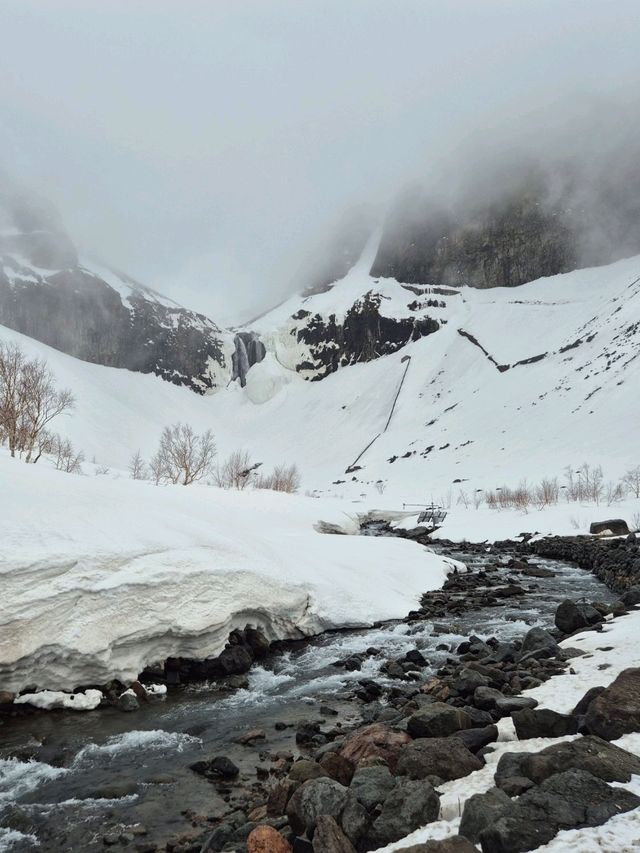 🏔자유여행으로 백두산 북파 관광하기🏔