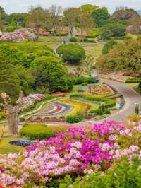 Nokonoshima Island Park สวรรค์คนรักดอกไม้ฟุกุโอกะ
