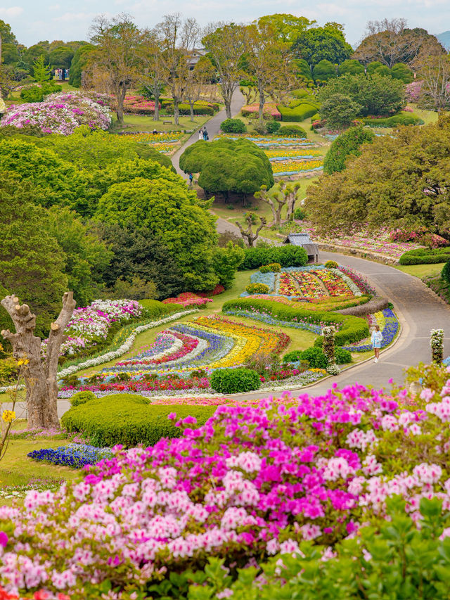Nokonoshima Island Park สวรรค์คนรักดอกไม้ฟุกุโอกะ