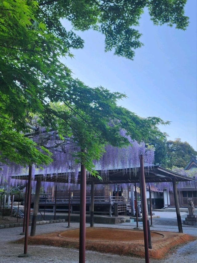 【山口グルメ】道の駅おふく・西八幡宮