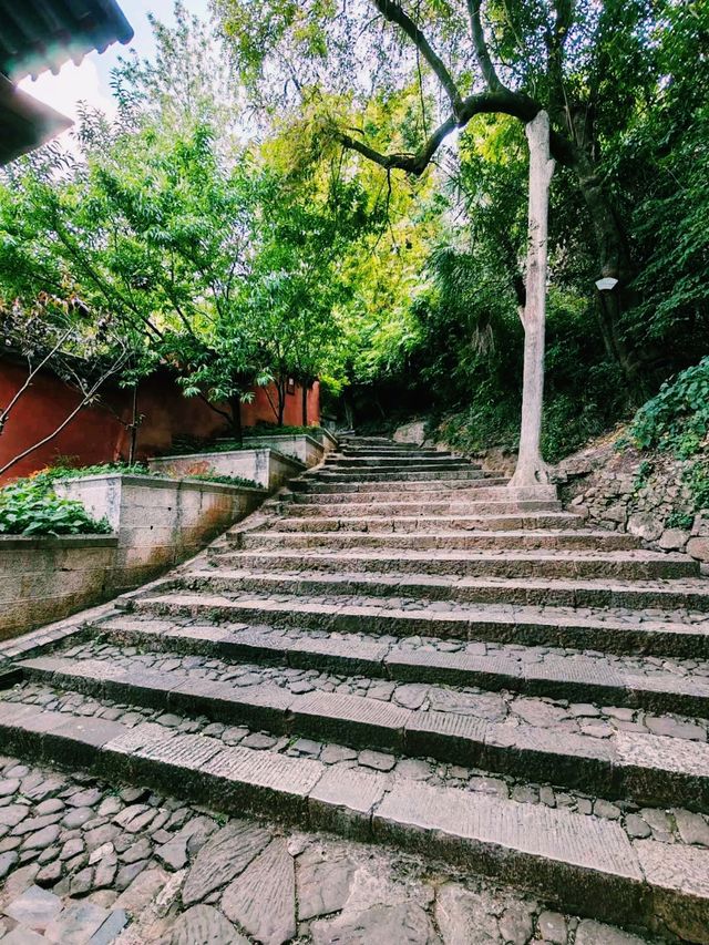 中國雲南玉溪著名景點：秀山歷史文化公園，適合打卡拍照📸