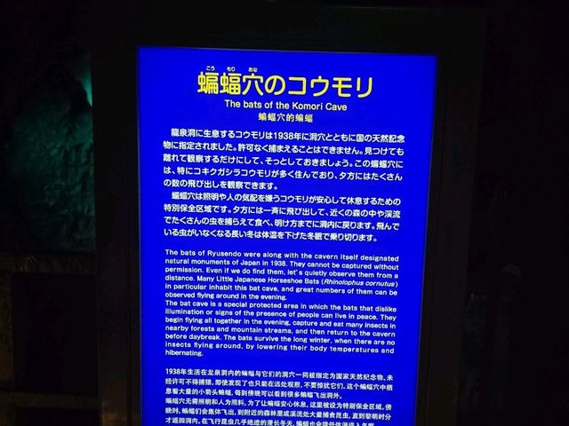 龍泉洞ブルー!!