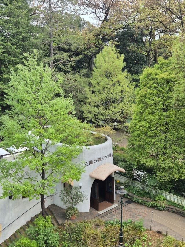지브리 덕후라면 꼭 가봐야 할 곳! 도쿄 지브리 미술관 방문 후기