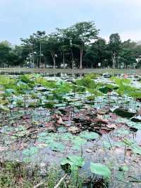 “Wind Chime Island: A Serene Escape”