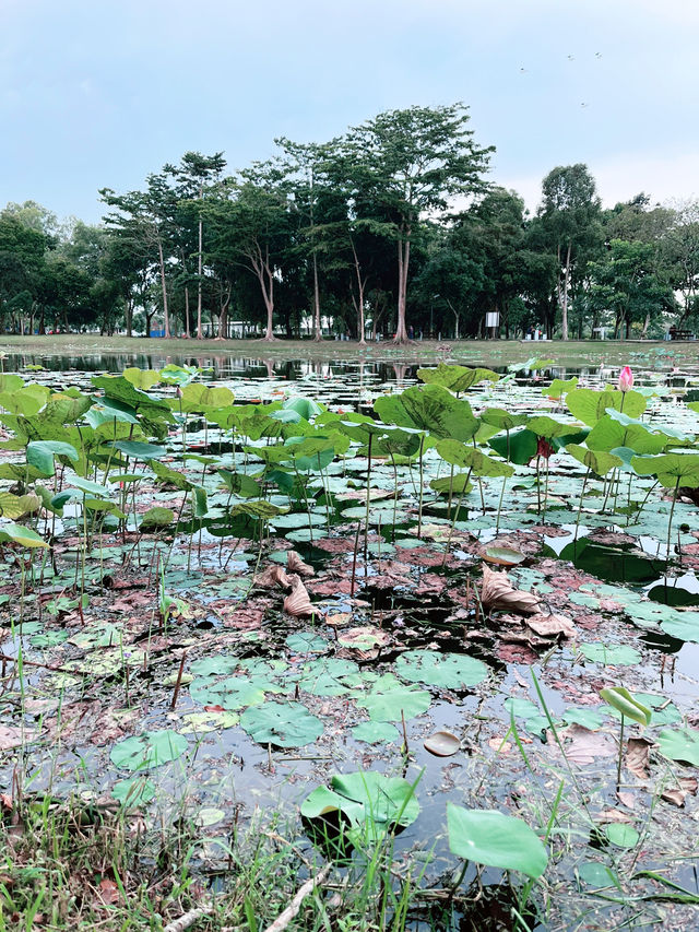 “Wind Chime Island: A Serene Escape”