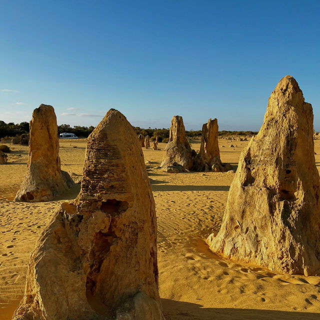 Pinnacles Desert Cervantes