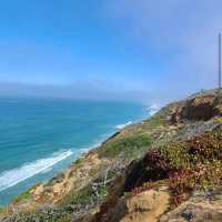 Torrey Pines State Natural Reserve – La Jolla, CA