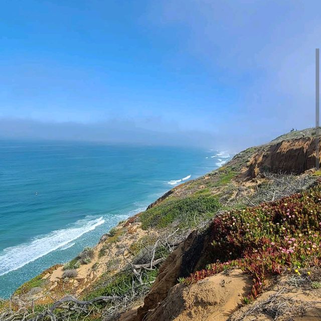Torrey Pines State Natural Reserve – La Jolla, CA