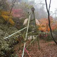 "Rokko Meets Art" งานศิลปะท่ามกลางธรรมชาติ🌿