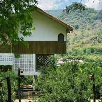คาเฟ่ อาข่า พามิโอ้ (Akha PhamiO) : ดอยผาหมี