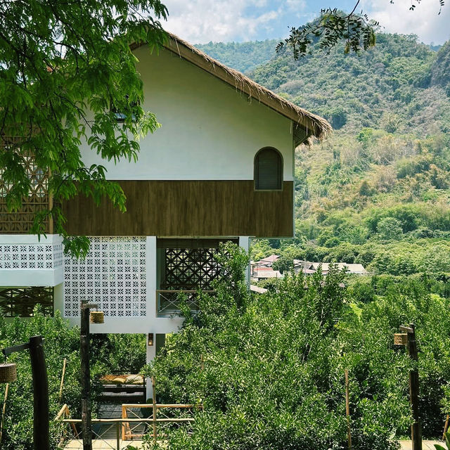 คาเฟ่ อาข่า พามิโอ้ (Akha PhamiO) : ดอยผาหมี