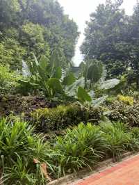 Fort Canning Park & Tiong Bahru Bakery 