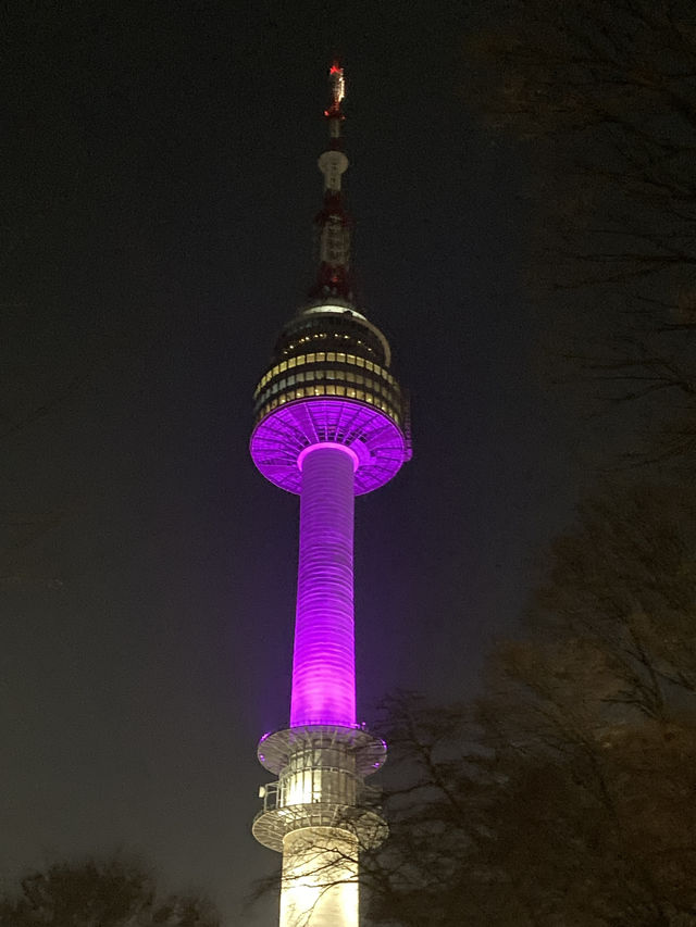 서울 이모저모 🩷