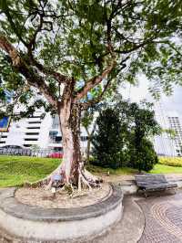 Kuching Waterfront Esplanade – A Scenic Must-Visit Along the Sarawak River
