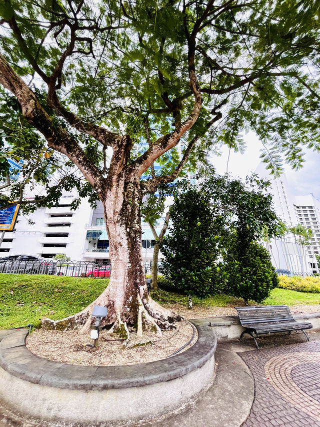 Kuching Waterfront Esplanade – A Scenic Must-Visit Along the Sarawak River