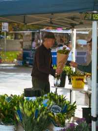 Salamanca Place & Market – Hobart’s Historic Heartbeat
