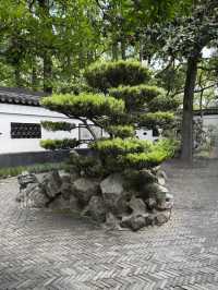 From Zen to Zoom: Epic Days in Shanghai