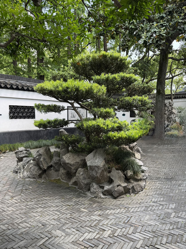 From Zen to Zoom: Epic Days in Shanghai