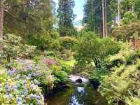 Bodnant Garden – A Timeless Garden Treasure in North Wales