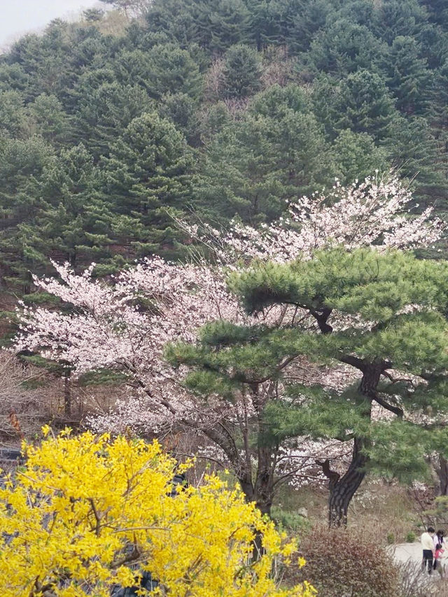 부모님과 함께하는 주말여행🎈